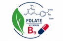 Folat